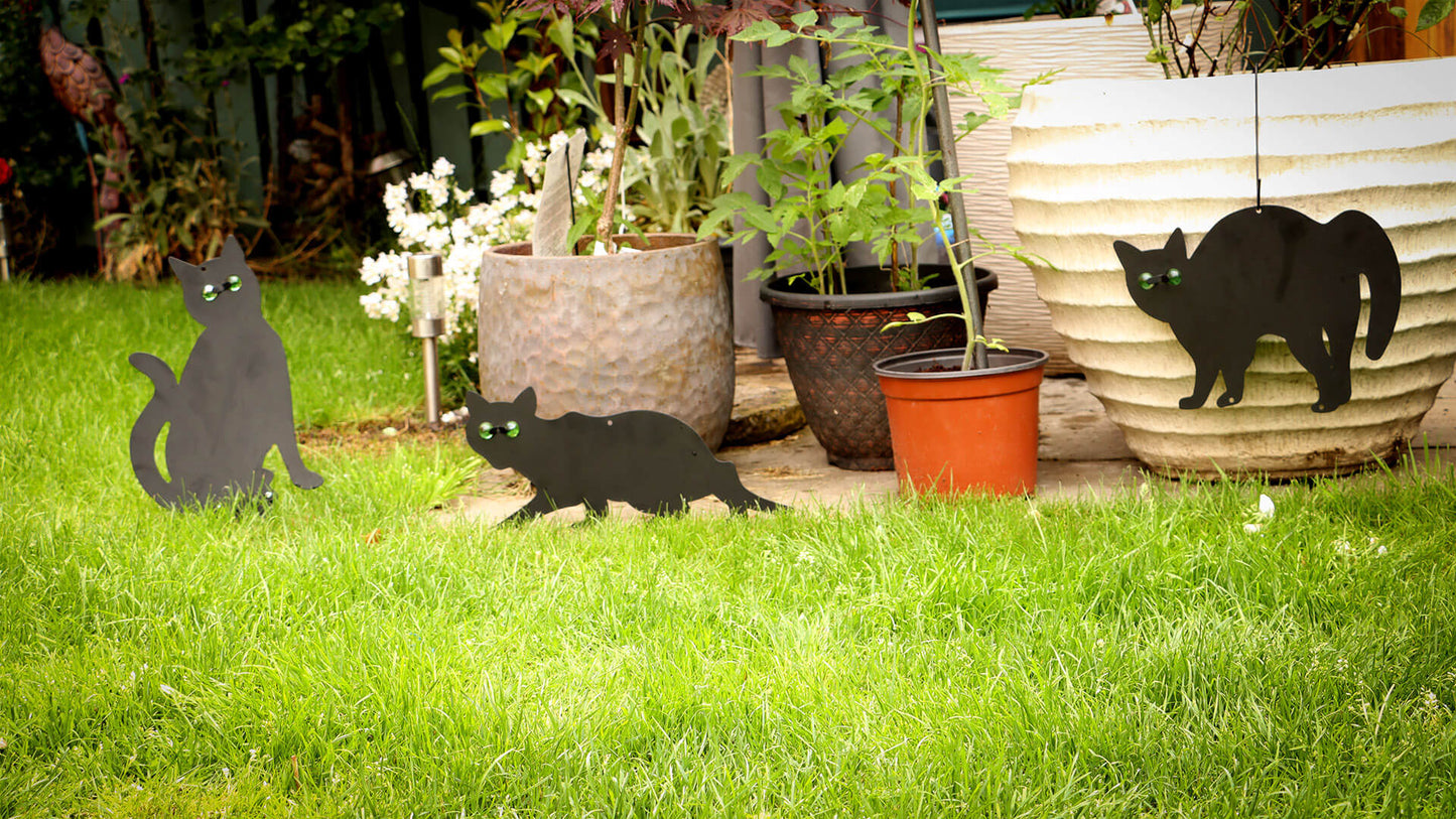Black Cat Silhouette For Garden | Cat With Scary Eyes - DIVCHI