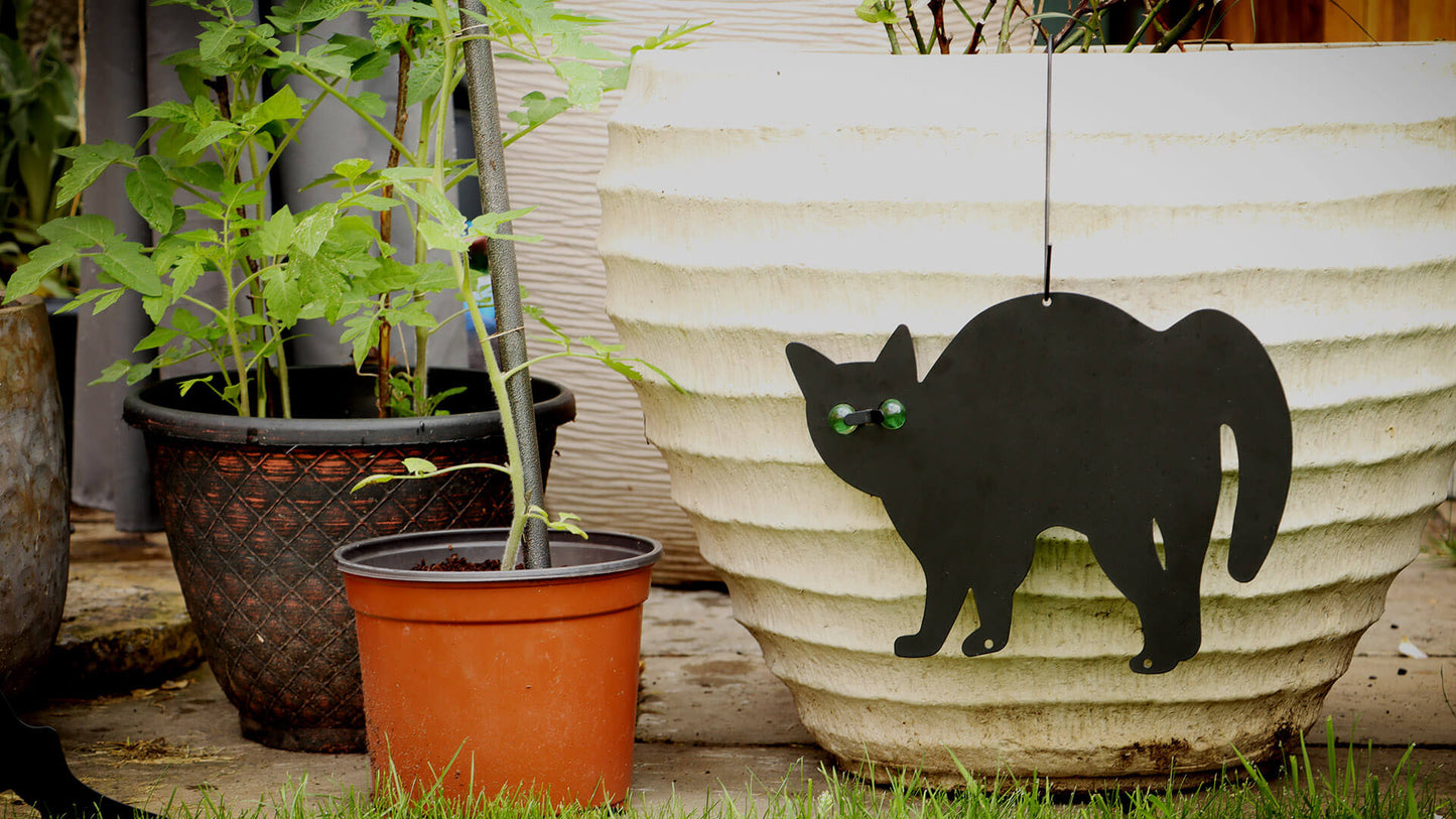Black Cat Silhouette For Garden | Cat With Scary Eyes - DIVCHI