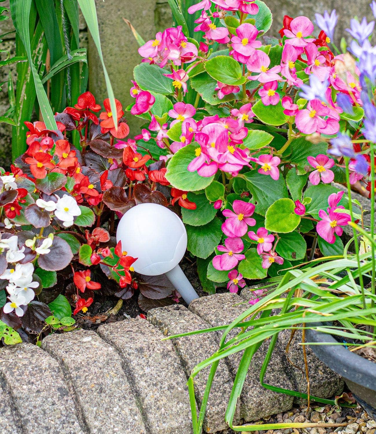DIVCHI Self Watering Globes, Green Life Pack of 4 Aqua Globes Small Plant Flower Automatic Self Watering PVC Bulbs Ball Garden Waterer Device Set - DIVCHI