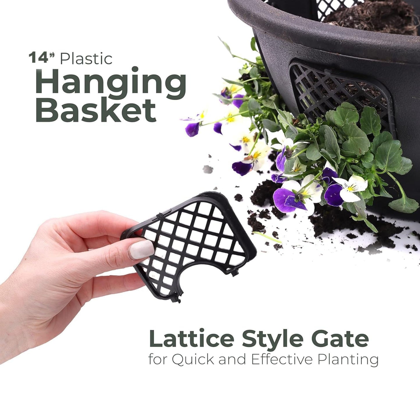 Hand holding a 14-inch plastic hanging basket with lattice style gate, showing plants inside.