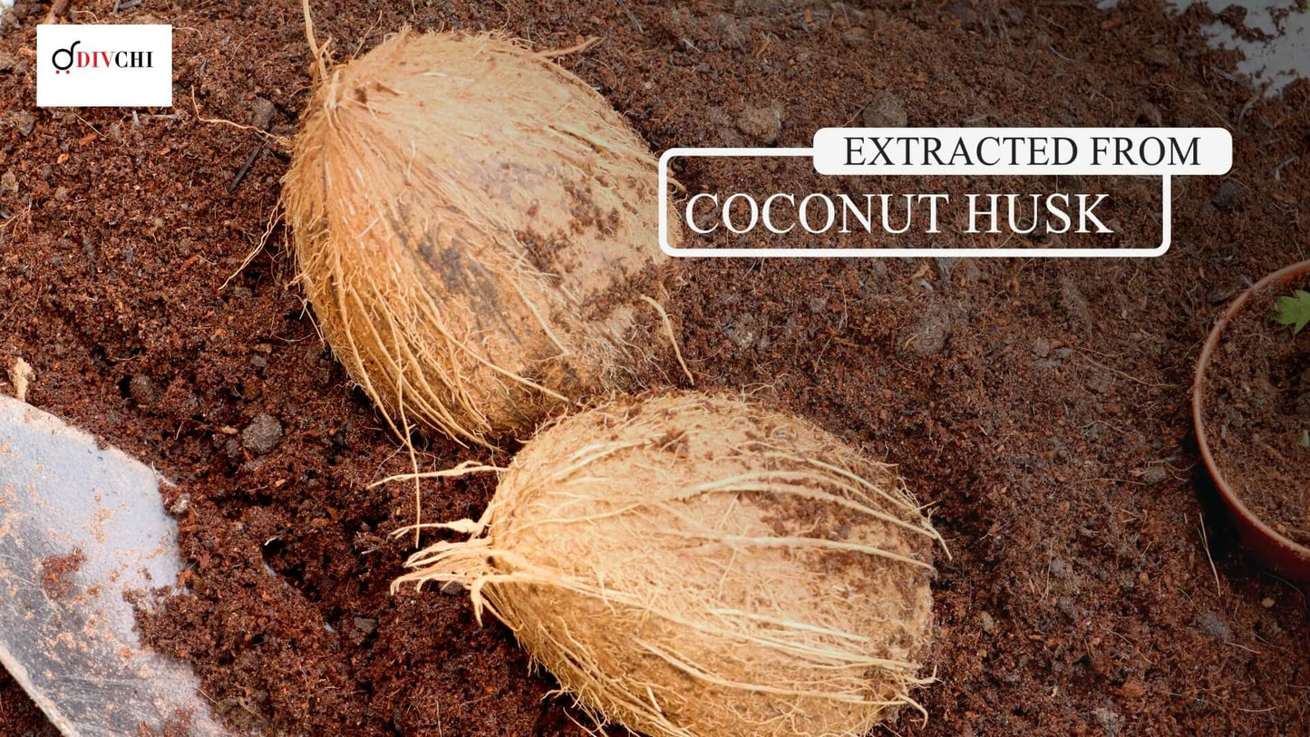 Coco Coir Bricks Uk | Moisture Retention In Soil | Compost Stability