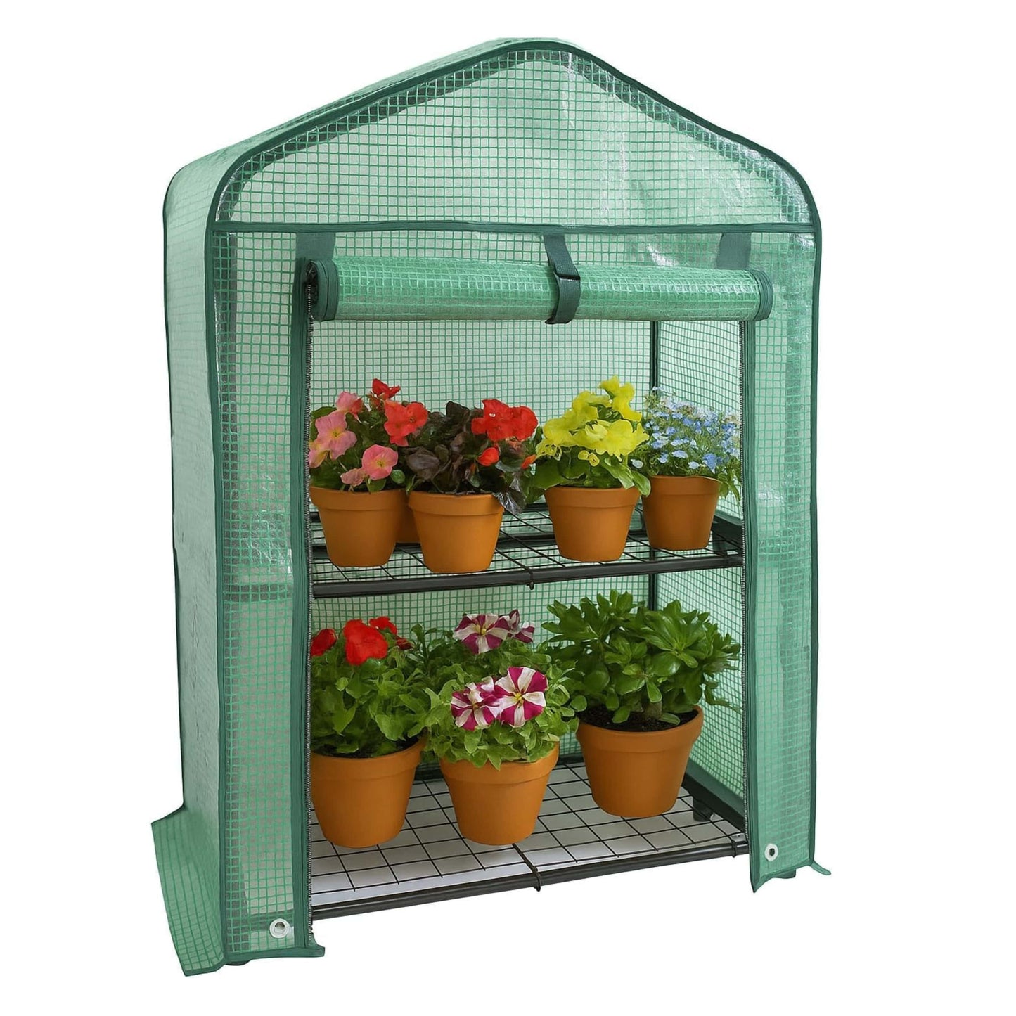 Portable greenhouse with potted plants on a white background