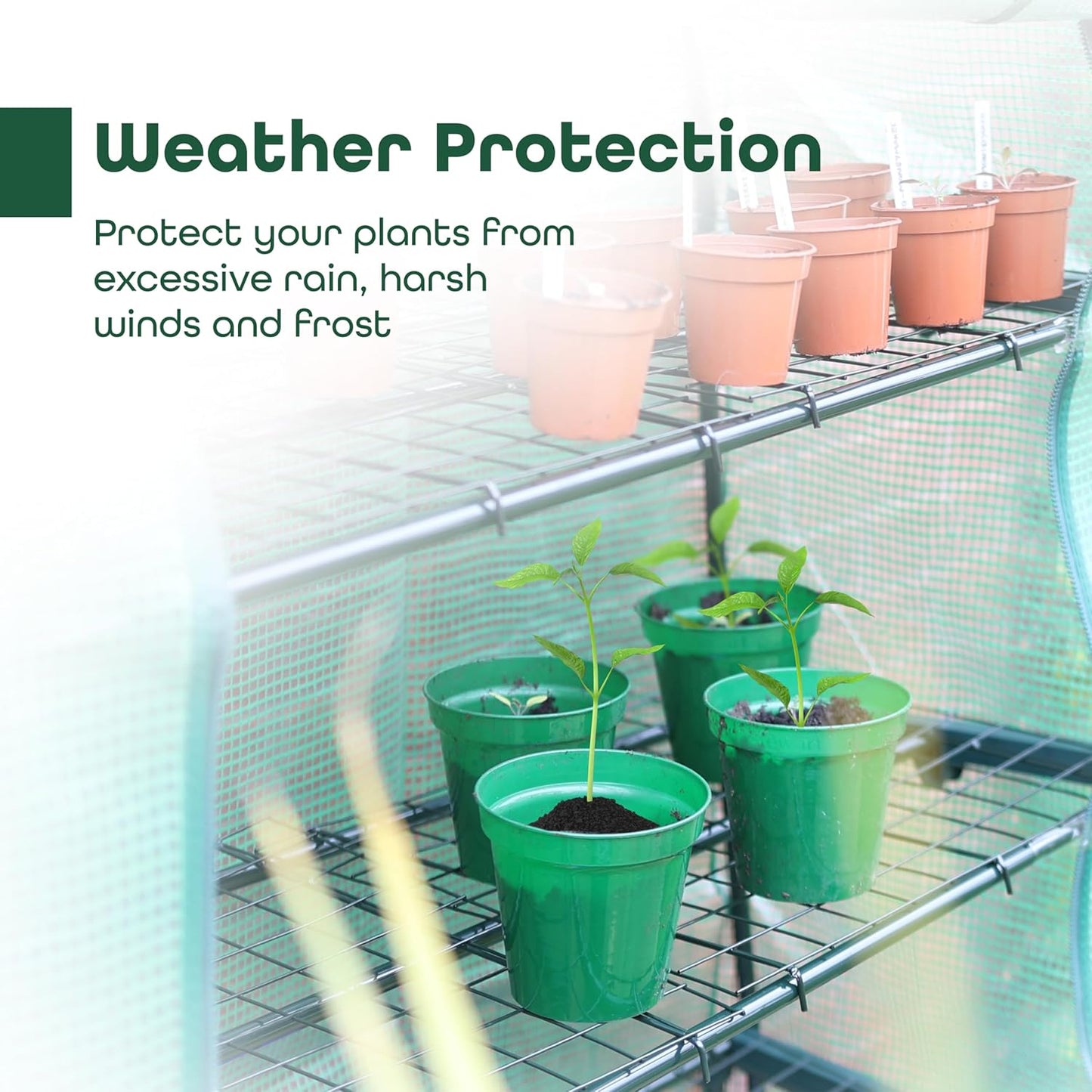 DIVCHI 4-Tier Extra Wide Greenhouse with PE Cover – Heavy Duty Outdoor Plant Shelter, Portable Mini Greenhouse for Patio, Garden & Balcony - DIVCHI