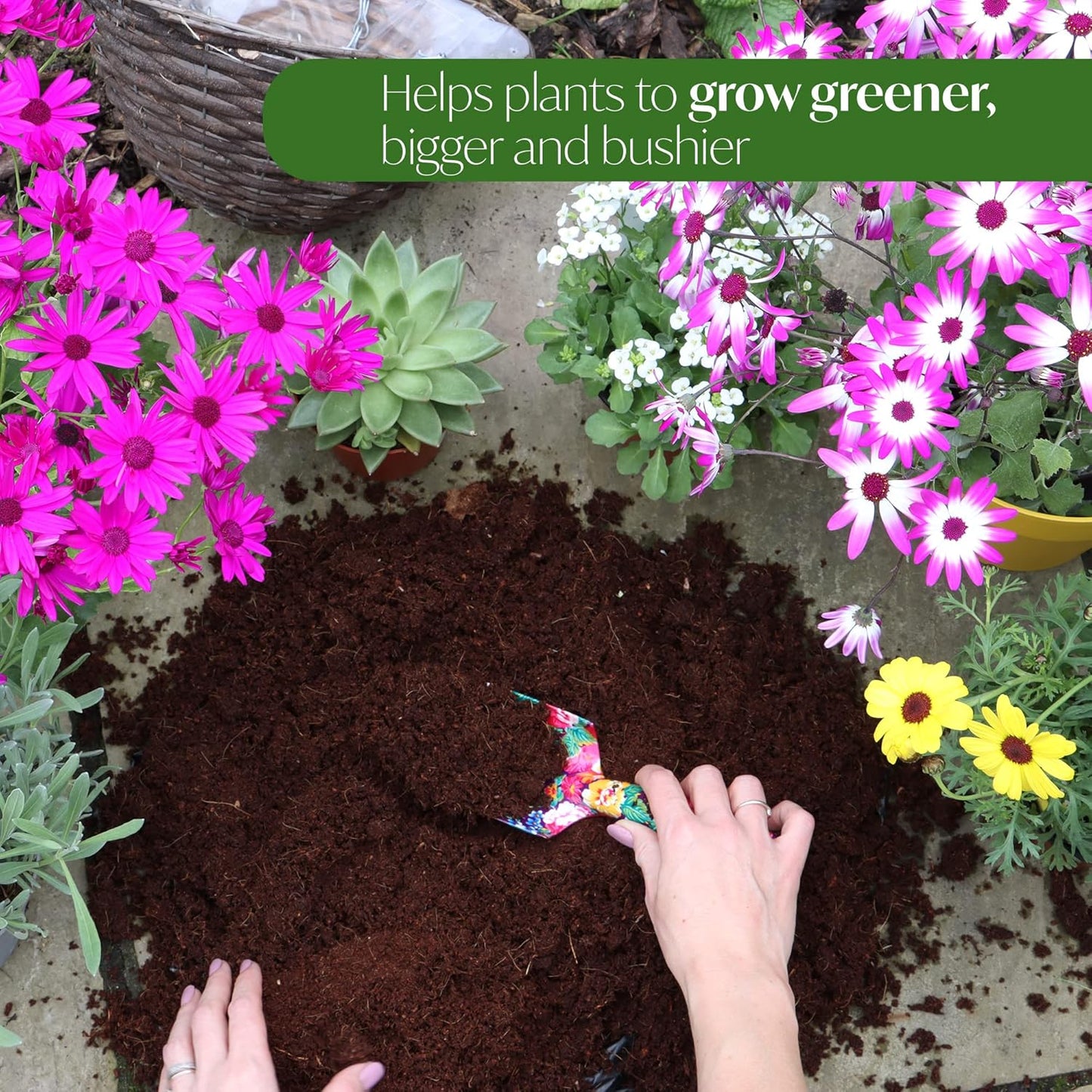 DIVCHI 10L Multi-Purpose Compost Soil – Organic Nutrient-Rich Compost Mix for Potting, Planting, Growing Seeds, Vegetables, Flowers & Herbs - DIVCHI