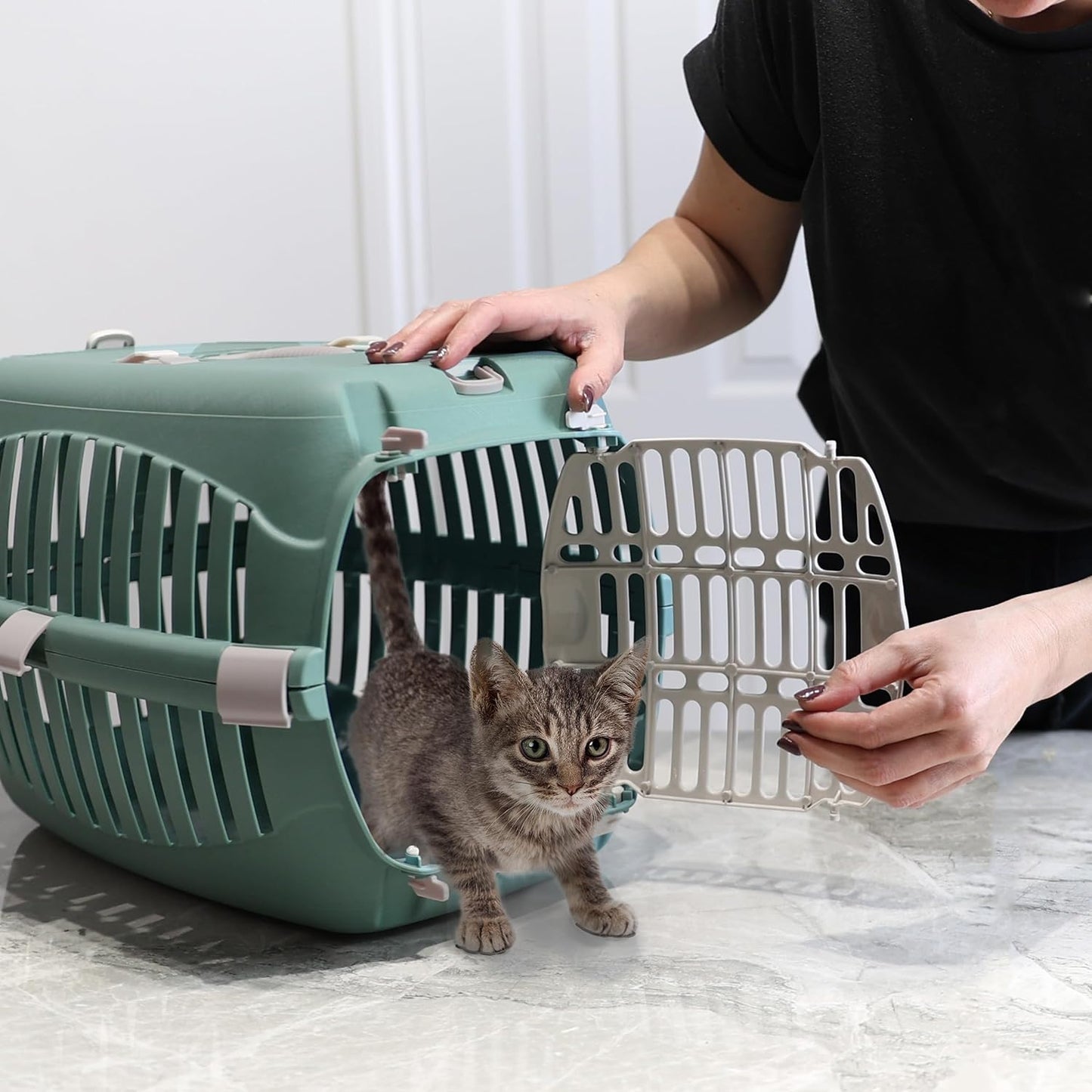DIVCHI Cat Carrier Transport Crate Dogs Carrying Box Kitten Carry Basket Cats Puppys Travel Cage - DIVCHI