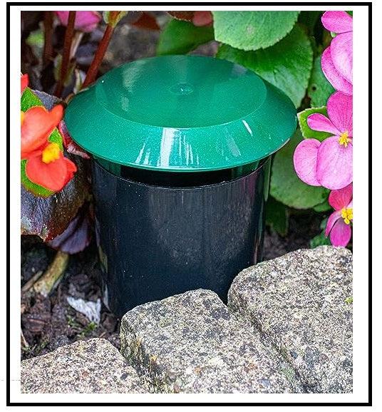 DIVCHI Beer Slug & Snail Traps Simple To Use No Pellets Safe Around Children And Pets - DIVCHI