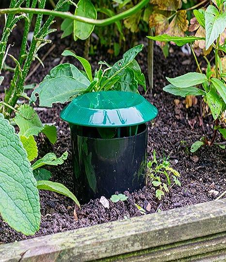 DIVCHI Beer Slug & Snail Traps Simple To Use No Pellets Safe Around Children And Pets - DIVCHI