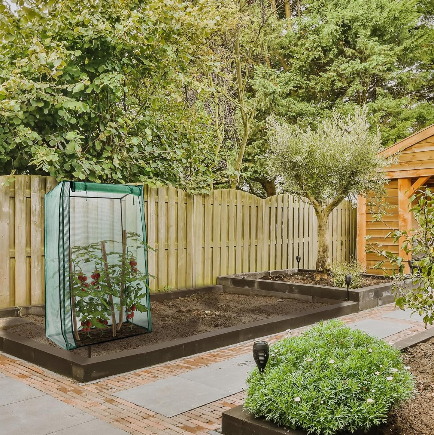 Tomato Greenhouse placed in a nice garden with tomatoes growing inside