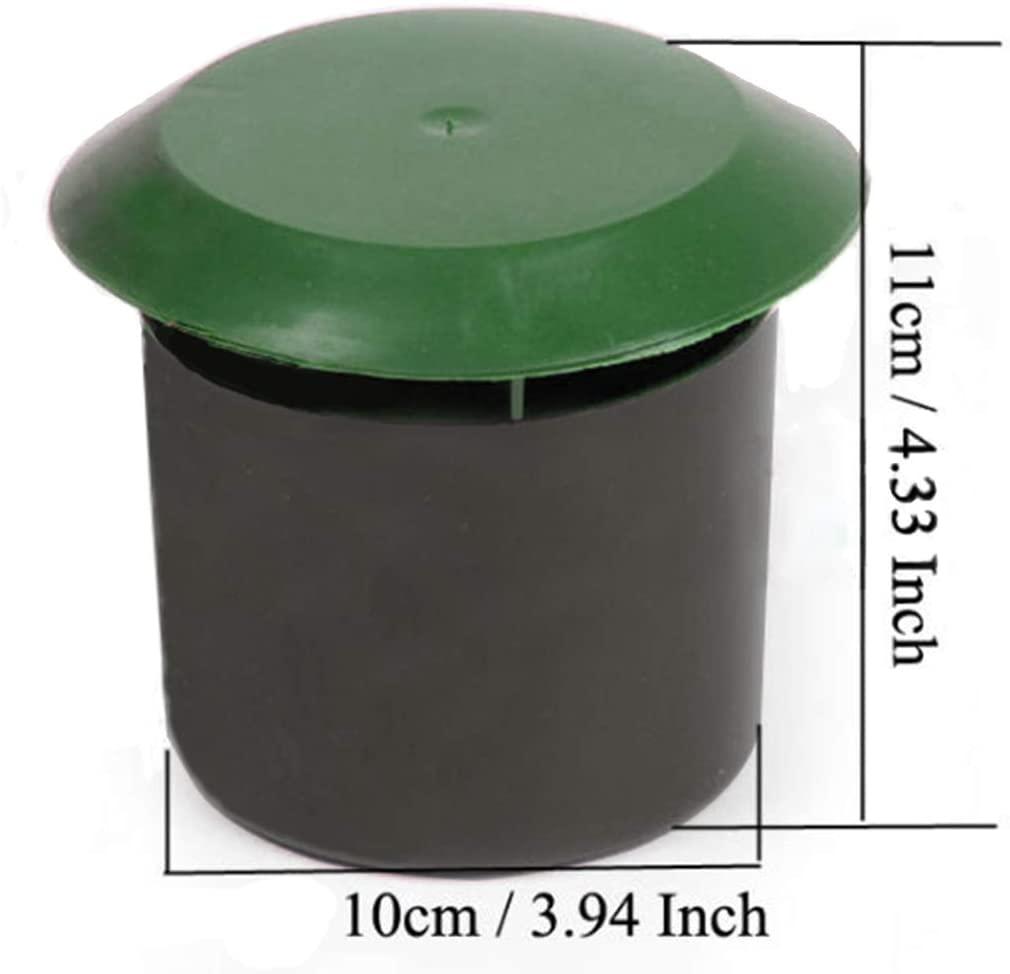 DIVCHI Beer Slug & Snail Traps Simple To Use No Pellets Safe Around Children And Pets - DIVCHI