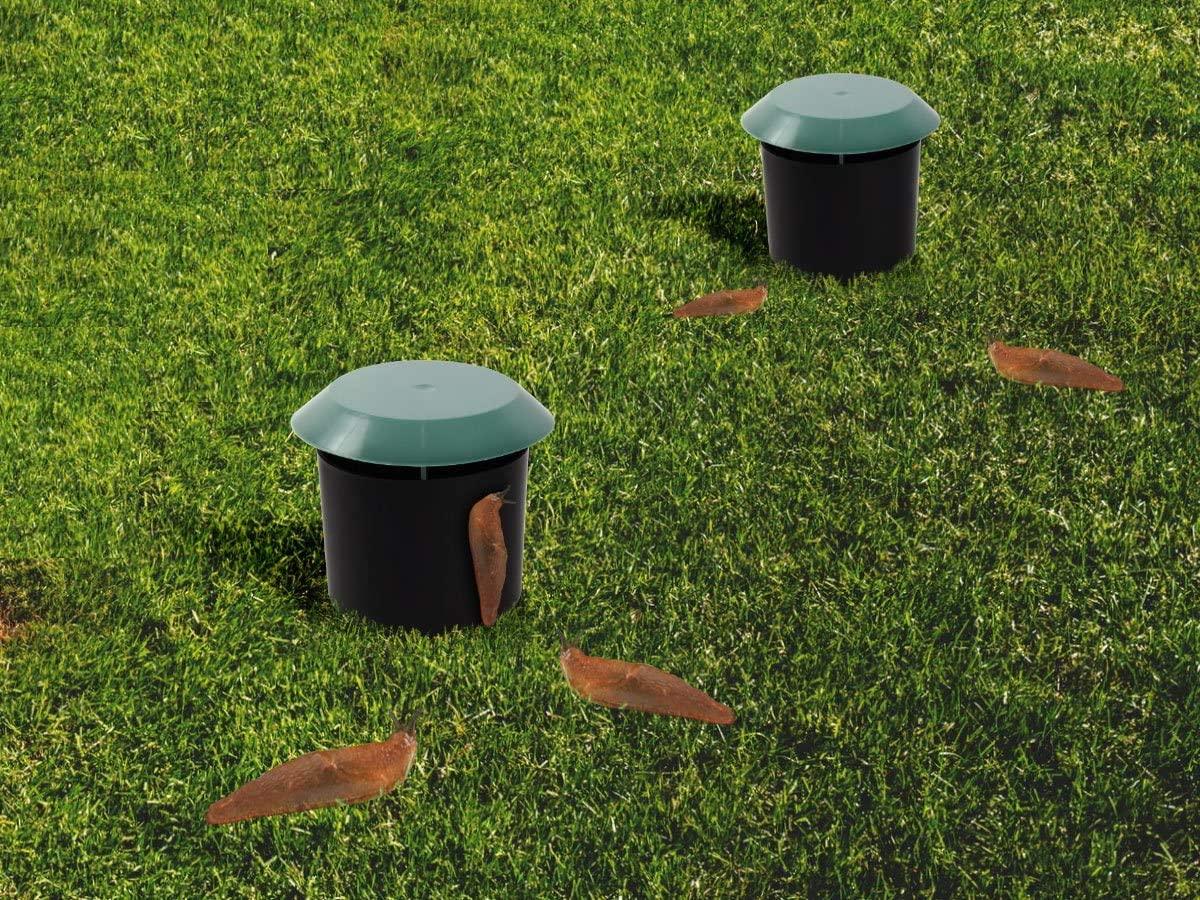 DIVCHI Beer Slug & Snail Traps Simple To Use No Pellets Safe Around Children And Pets - DIVCHI