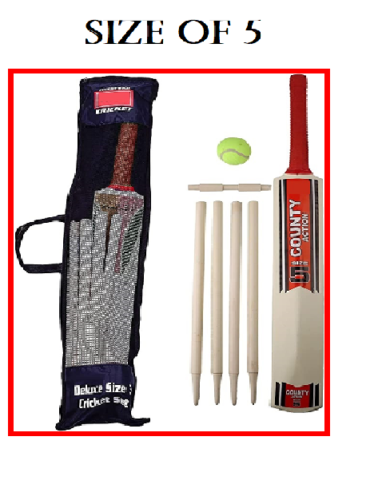 Size 3/5 Cricket Set in Mesh Carry Bag Suitable for approximate ages 8-12 years. - DIVCHI