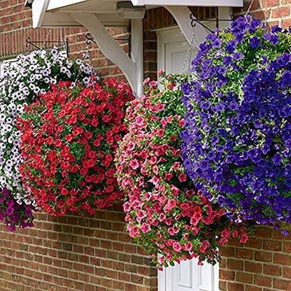 DIVCHI 14-Inch Hanging Basket Set of 4 – Durable Garden Planters with Chains for Balcony, Patio & Outdoor Use
