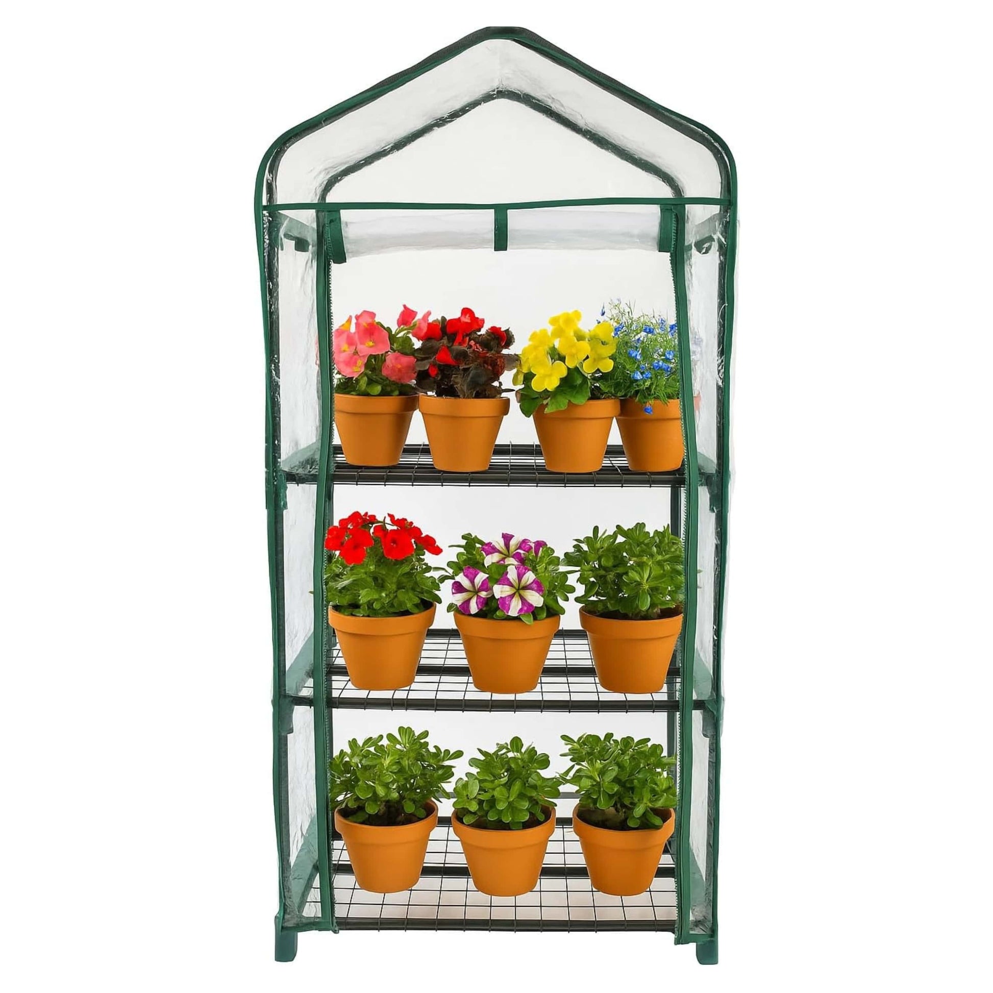 Small 3 tier greenhouse with plants on a white background