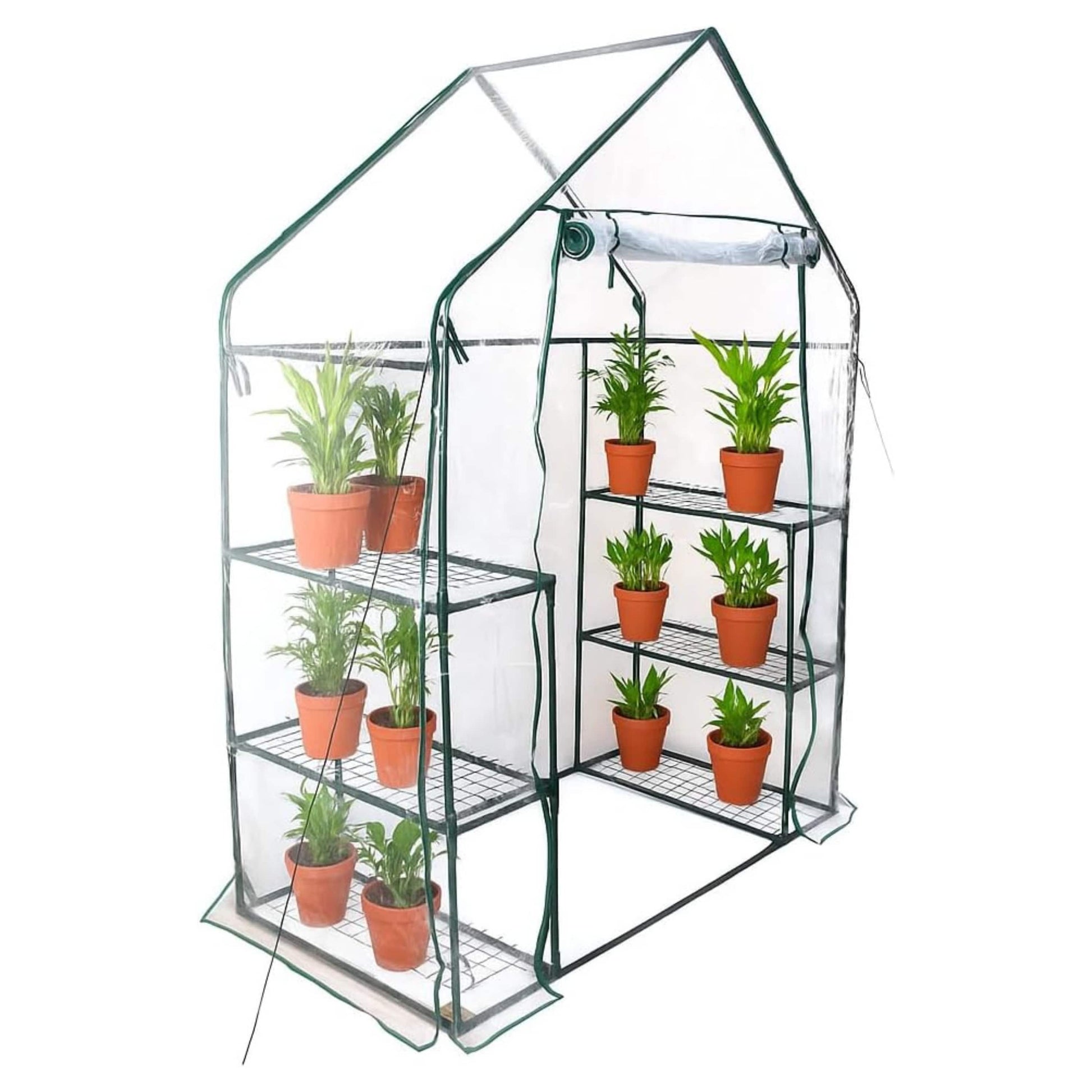 3 tier walk in greenhouse with plants inside on a white background