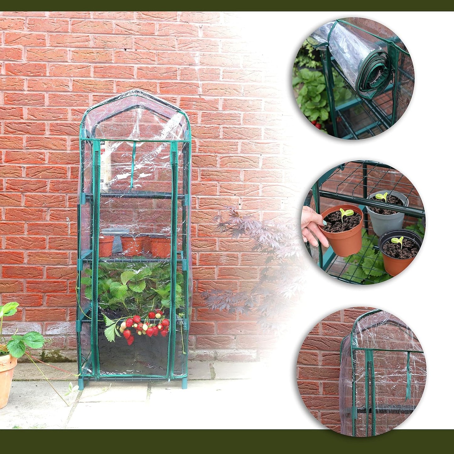 4 tier greenhouse with plants against a brick wall, showing close-ups of the structure and plants.