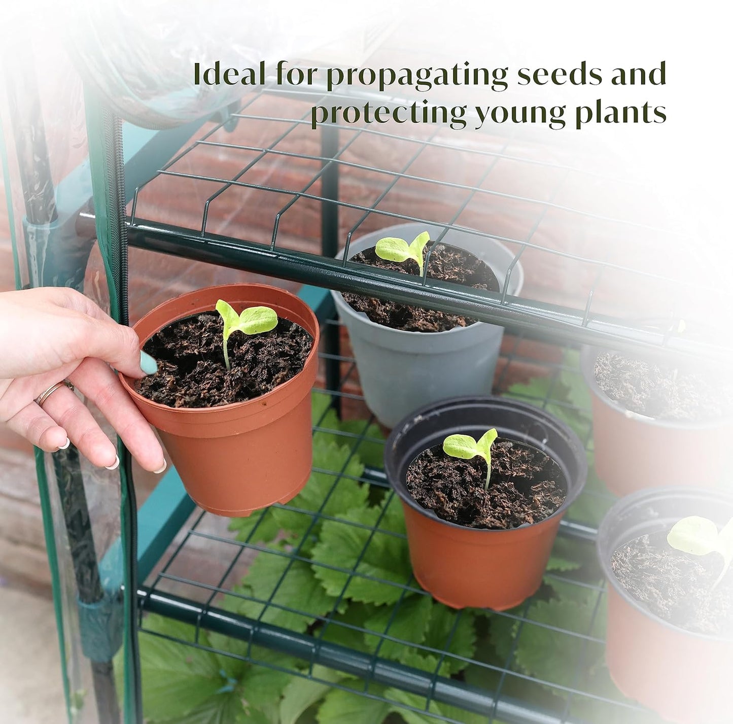 Person holding a small pot with seedlings on a greenhouse shelf, with text indicating use for propagating seeds and protecting young plants.