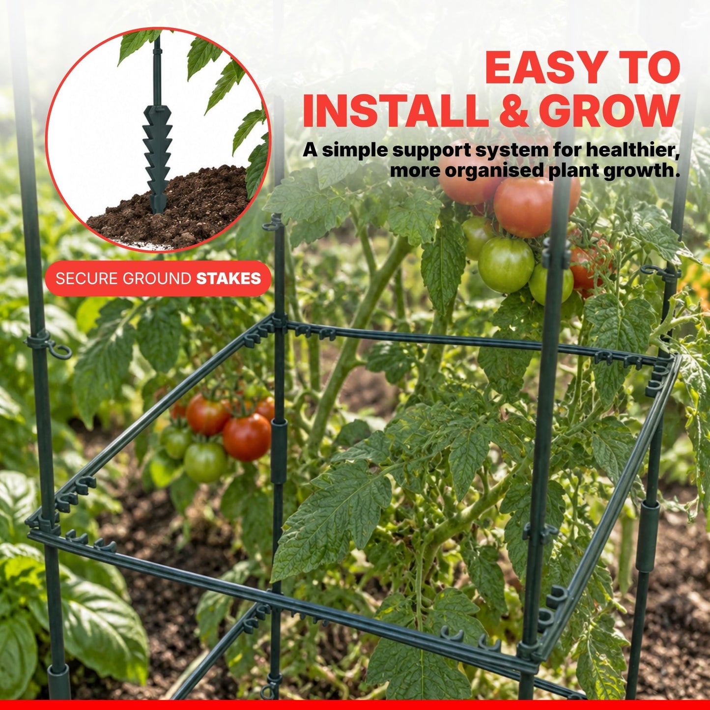 DIVCHI Tomato Plant Support Cage, Square Garden Trellis with Plants Support Clips & Stakes for Vertical Climbing Plants, Vegetables, Fruits, Flowers & Vines