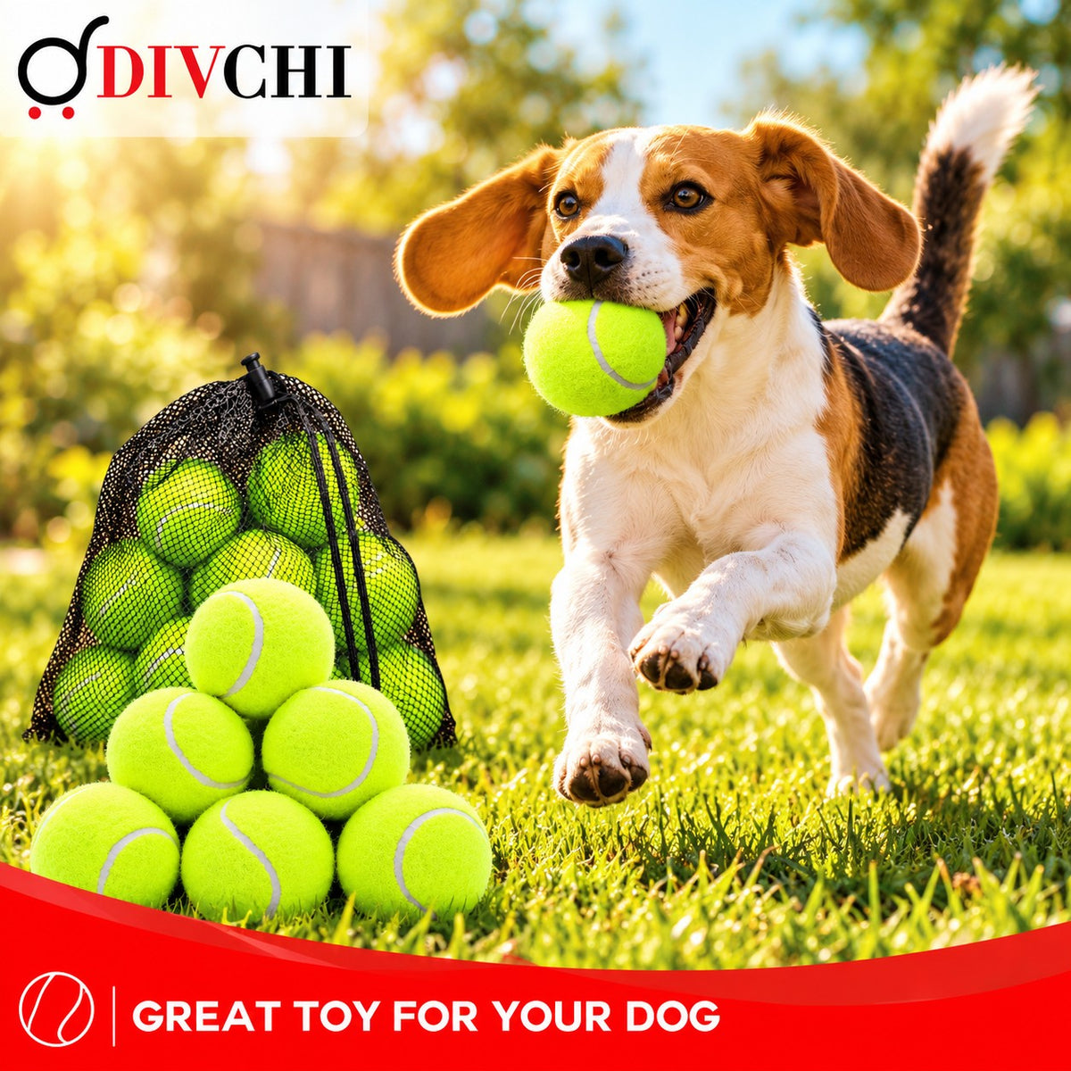 Beagle carrying a DIVCHI tennis ball in the garden next to a mesh bag of tennis balls