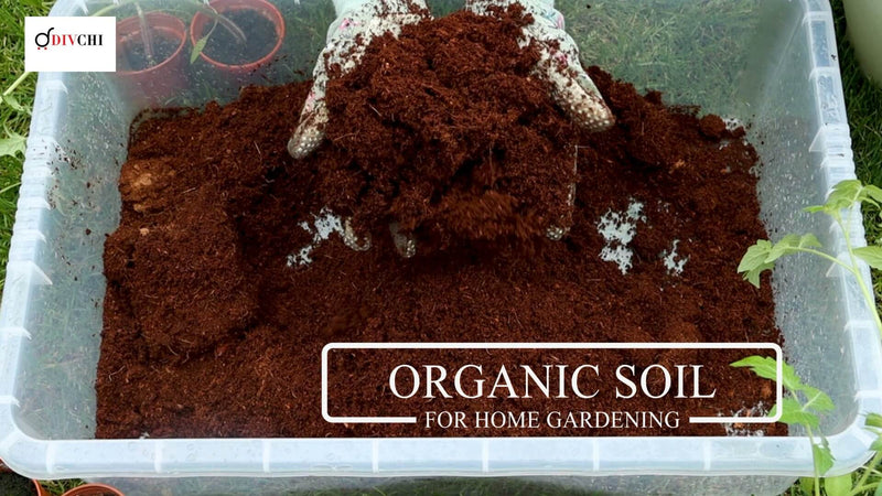 Coco Coir Bricks Uk | Moisture Retention In Soil | Compost Stability
