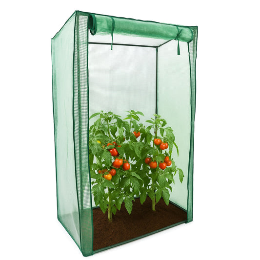 Green mesh plant cover with a tomato plant inside on a white background