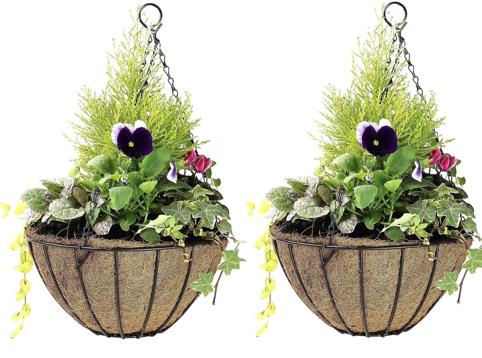 DIVCHI Hanging Basket with Coco Liner & Chain – Flower Hanging Pots for Indoor & Outdoor Garden Décor (30cm & 35cm Sizes) - DIVCHI