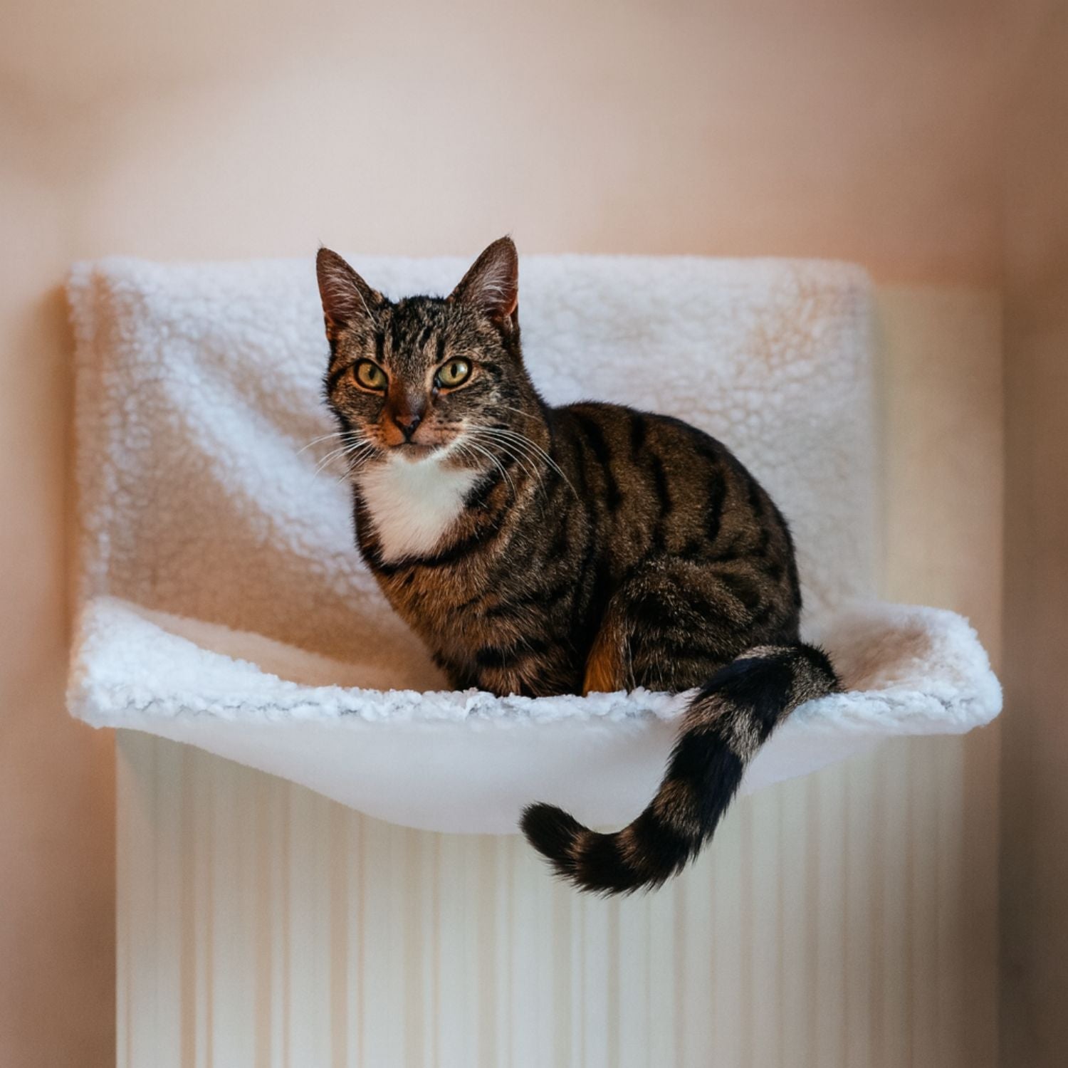 Tabby cat sitting upright on white radiator hammock bed, looking alert