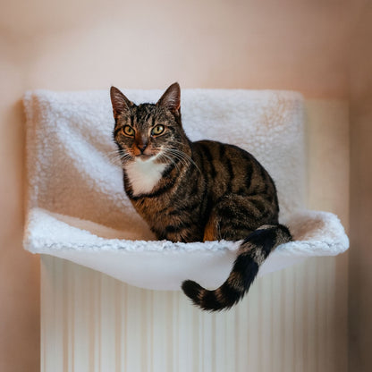 Tabby cat sitting upright on white radiator hammock bed, looking alert