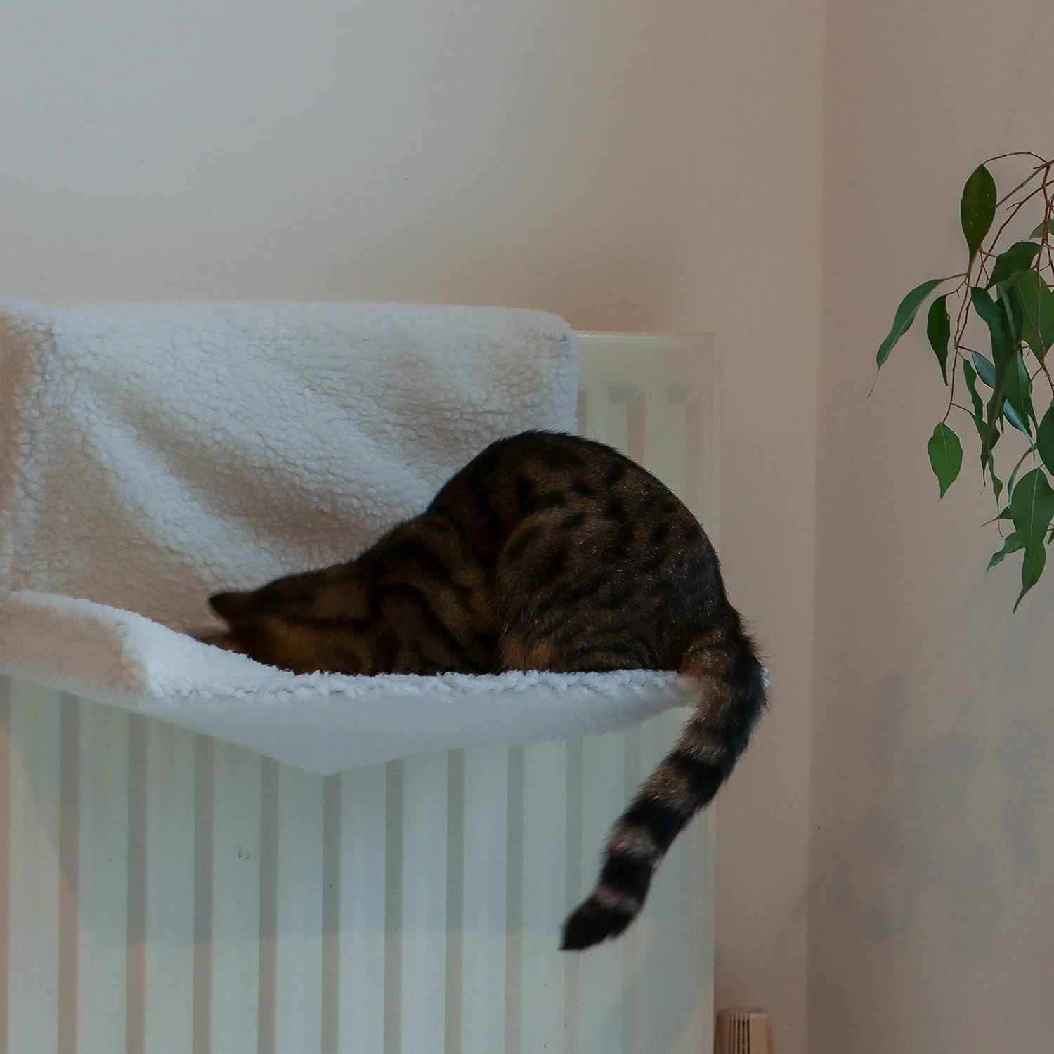 Cat resting peacefully inside mounted white radiator cat hammock