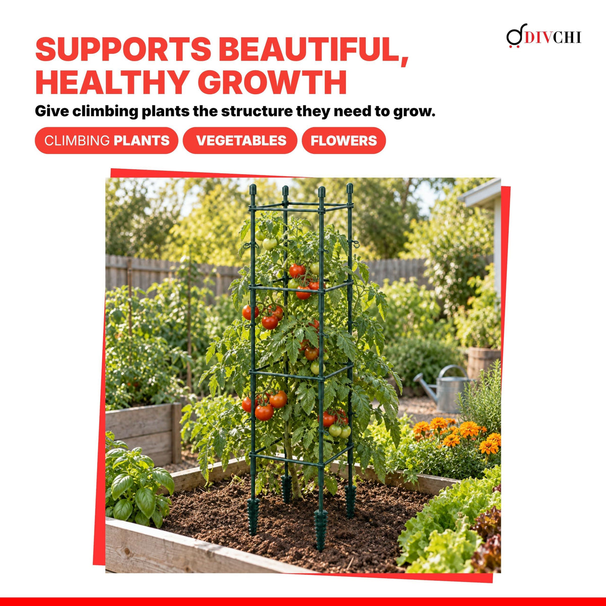 DIVCHI Tomato Plant Support Cage, Square Garden Trellis with Plants Support Clips & Stakes for Vertical Climbing Plants, Vegetables, Fruits, Flowers & Vines