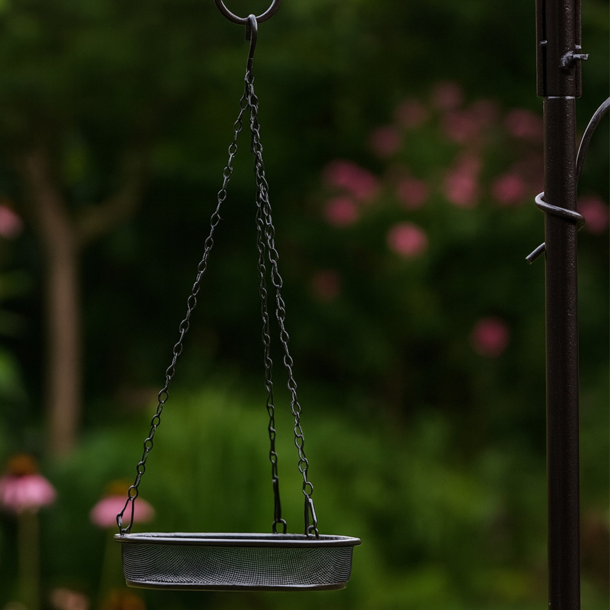 Empty metal hanging bird feeder with blurred garden background