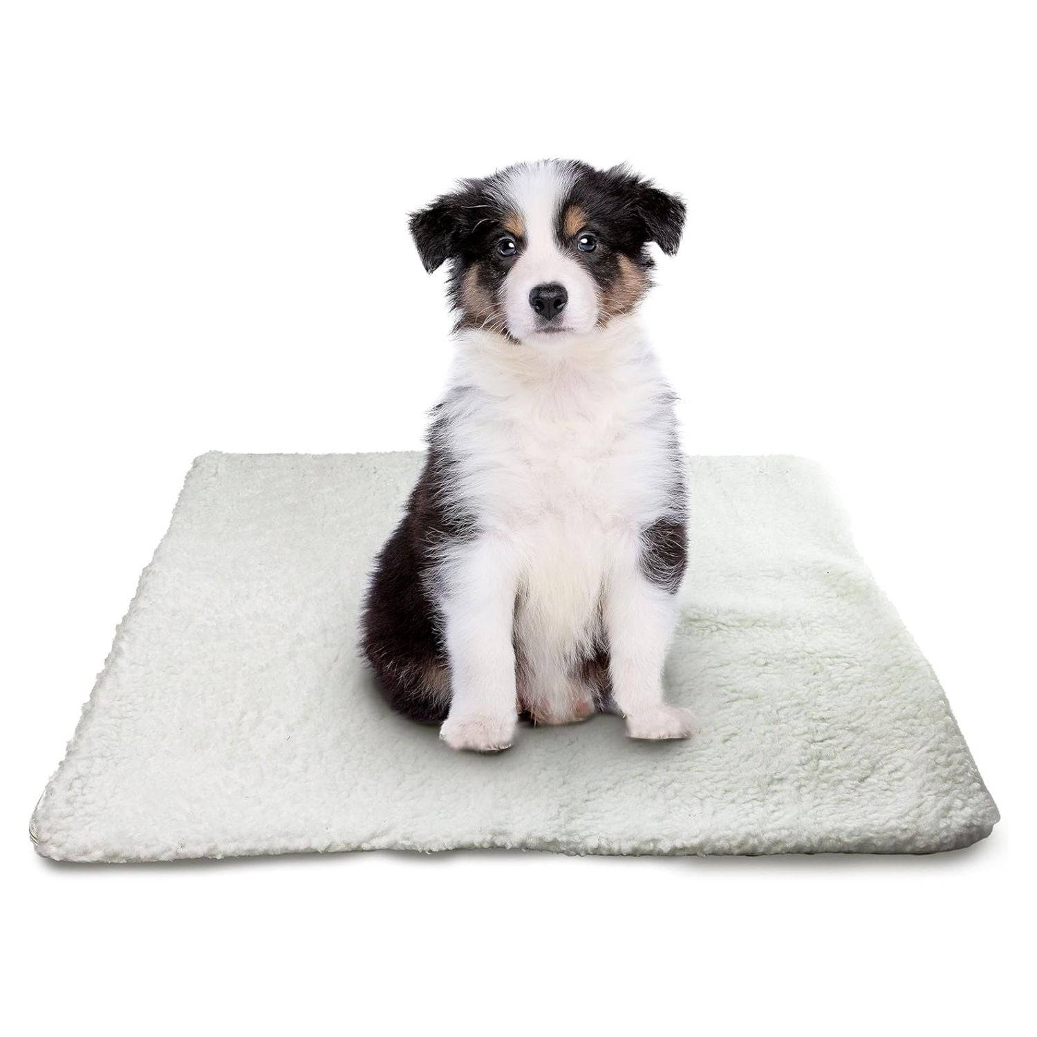 DIVCHI Self Heating Pet Mat with black and white puppy sitting on soft faux fleece mat