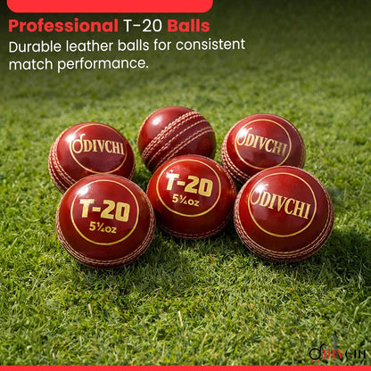 DIVCHI professional T20 leather cricket balls on grass