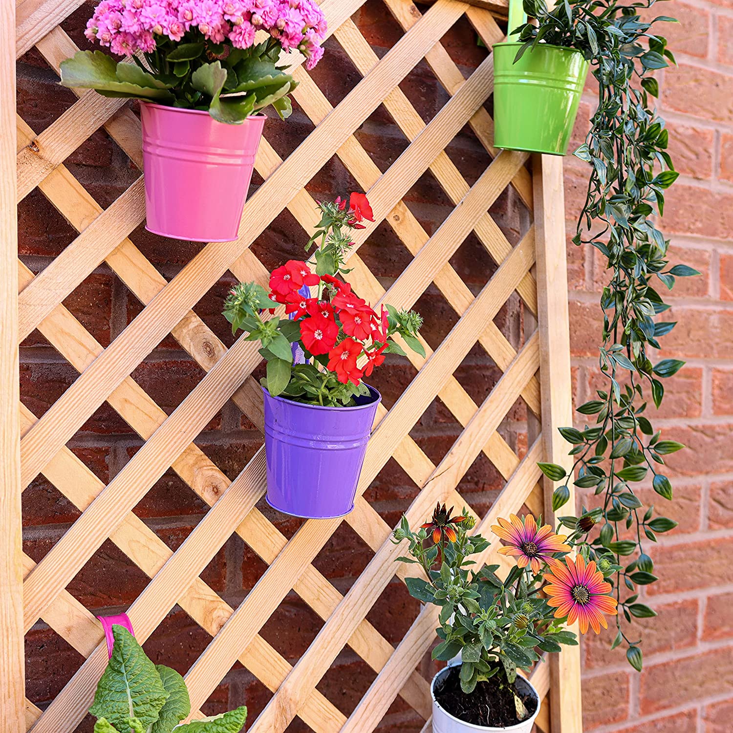 metal plant pots hanging 10 Pack Hanging Metal Flower Pot with Removable Handle, Garden Plants – DIVCHI