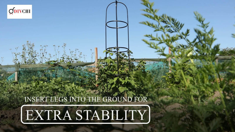Metal Garden Obelisk Climbing Plant | Obelisk Garden Metal
