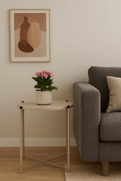 DIVCHI Plant Stand Indoor Round Plant Shelf Plant Table for Flower Pots Heavy Duty Plant Holder Modern Home Decor Small Storage Shelf Table For Garden Office Living Room Balcony Corner (gold)