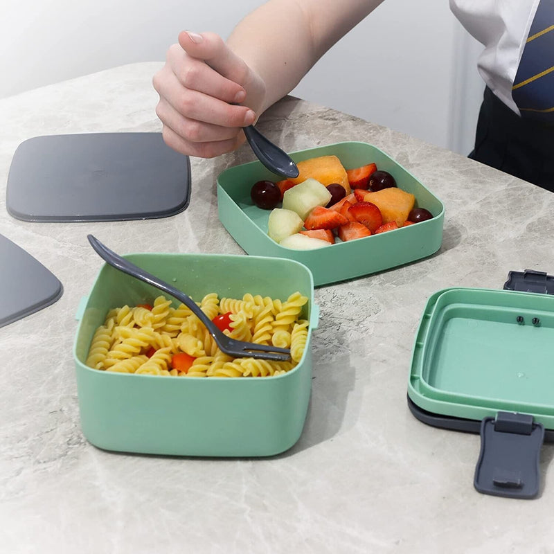 DIVCHI Lunch Box Meal Holder Bento Boxes with Spoon & Fork And 2 Compartments