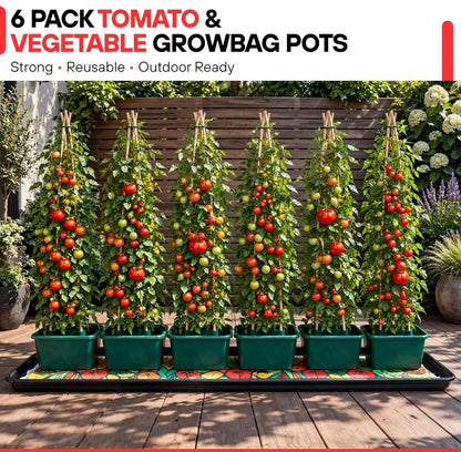 Pack of 6 Green Tomato & Vegetable Grow Bag Watering Pots  for Tomatoes, Strawberries & Herbs