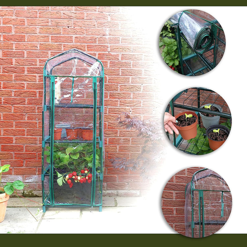 DIVCHI 4 Tier Greenhouse Durable Steel Frame Clear PVC Cover for Growing Plants