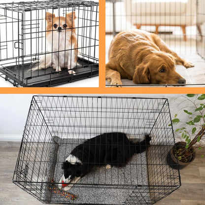 Multiple dogs of different sizes shown inside and beside their wire crates