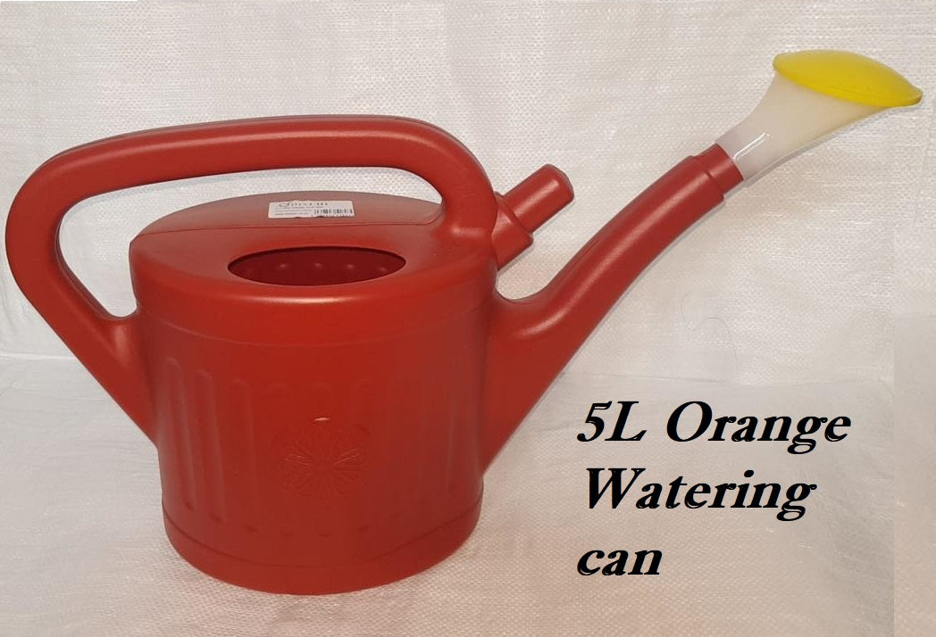 Watering Can With Rose Head Indoor Outdoor Plants Watering Pot With Handle & Removable Sprinkler Head - DIVCHI