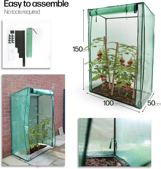 DIVCHI Greenhouse Garden Tomato Growhouse Vegetables Grow Tent Green House With Roll-Up Door Reinforced Cover & Heavy Duty Frame - DIVCHI