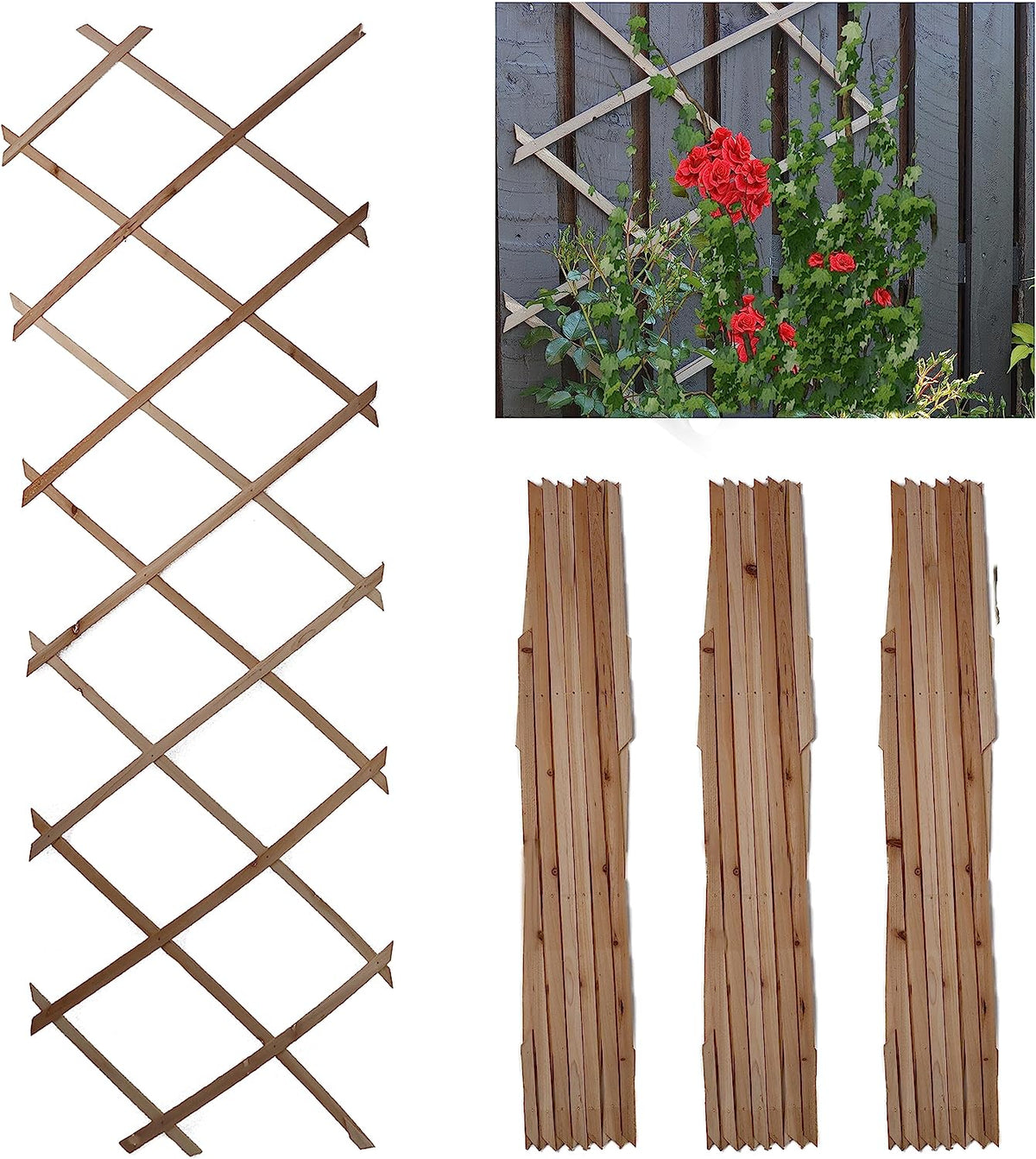 DIVCHI Wooden Trellis for Garden Wall – Expandable Climbing Plant Support (Pack of 3) - DIVCHI