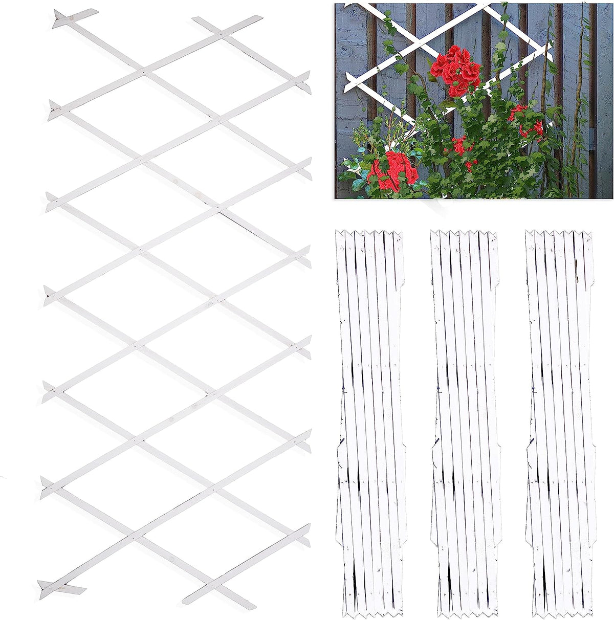 DIVCHI Wooden Trellis for Garden Wall – Expandable Climbing Plant Support (Pack of 3) - DIVCHI
