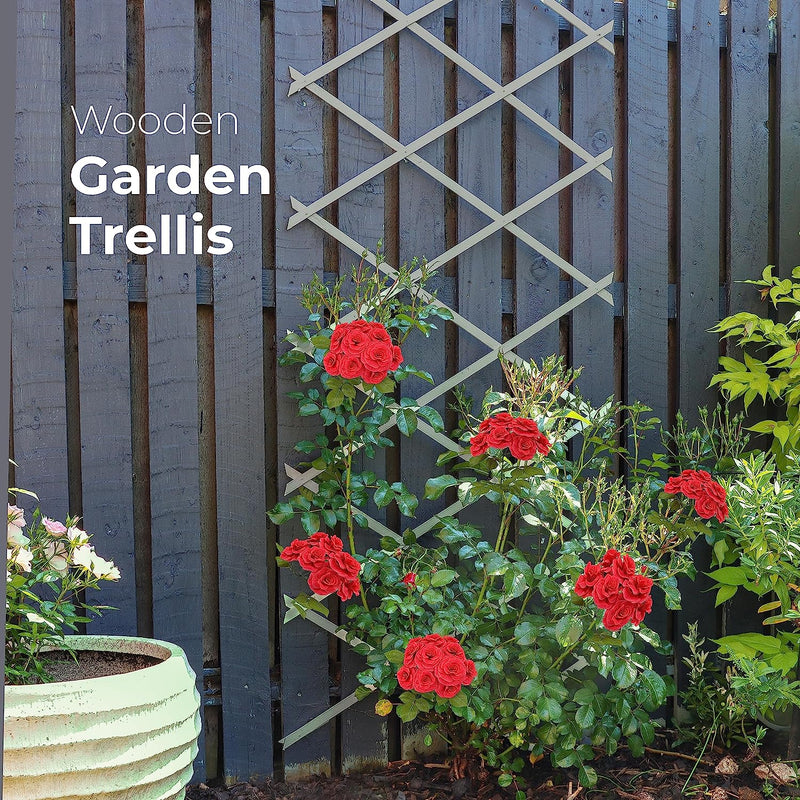Wooden Trellis Expandable Garden Wall Trellis (pack of 3)