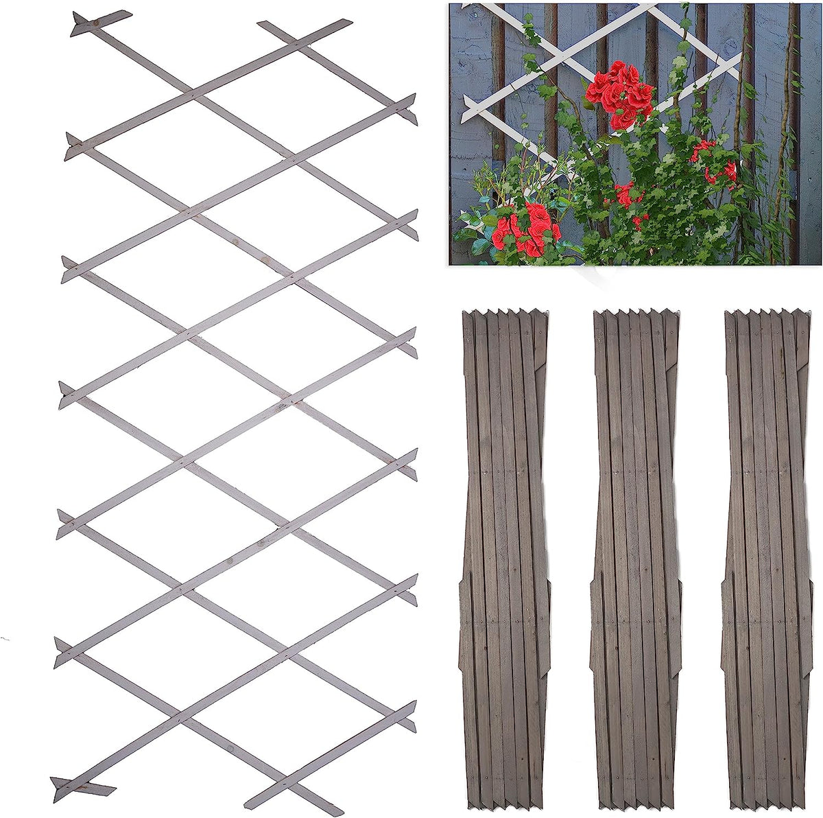 DIVCHI Wooden Trellis for Garden Wall – Expandable Climbing Plant Support (Pack of 3) - DIVCHI