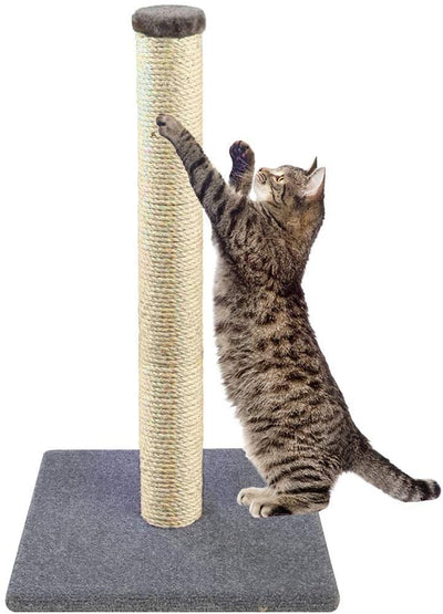 DIVCHI 16" Tall Big Cat Scratching Post 40 cm, Natural Sisal Pole and Carpet Covered Heavy Base, Vertical Full Scratcher, platinum grey - Divchi