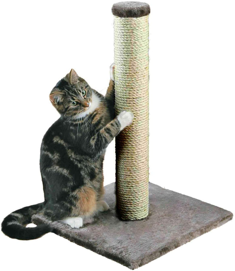 DIVCHI 16" Tall Big Cat Scratching Post 40 cm, Natural Sisal Pole and Carpet Covered Heavy Base, Vertical Full Scratcher, platinum grey - Divchi