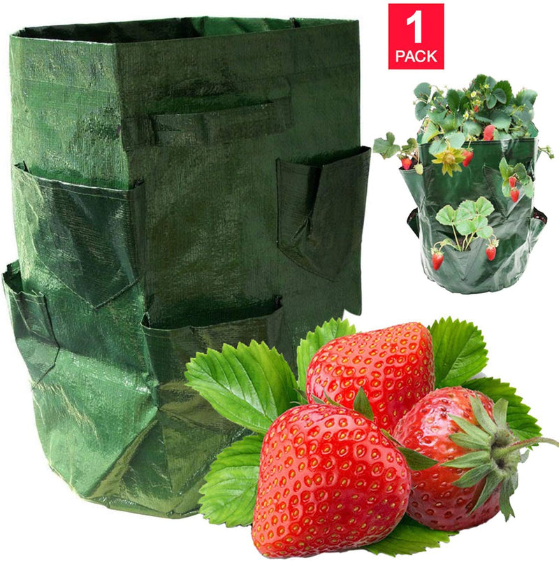 DIVCHI Strawberry Grow Bags, 1Pack Strawberry Planter with Multi Side Grow Pockets, Breathable Non-woven Fabric Reinforce Handle Strawberry Growing Bag for Garden Strawberries, Herbs, Flowers - Divchi