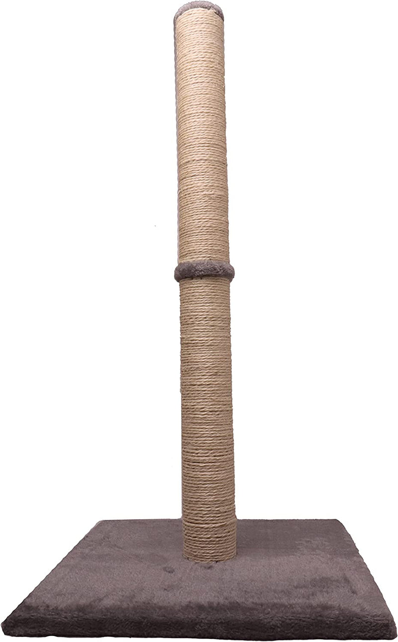 31" Inch Tall Big Cat Scratching Post 80 cm, Natural Sisal Pole and Carpet Covered Heavy Base, Vertical Full Scratcher,Platinum Grey