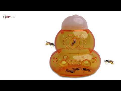 Video showing DIVCHI wasp trap catching flying insects in a garden
